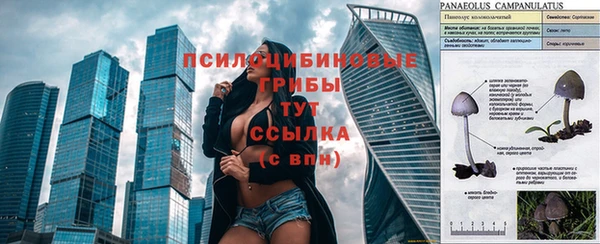 a pvp Абинск