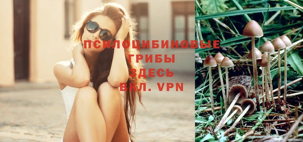 прущая мука Абаза